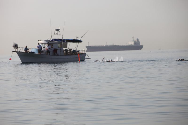 Comen Cup 2009 306.jpg